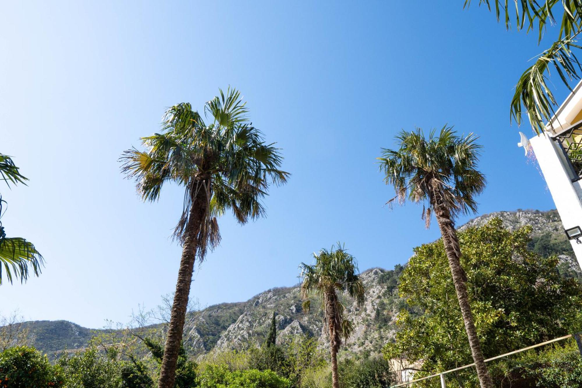 Villa Glanz Antique Paradise Near The Sea Kotor